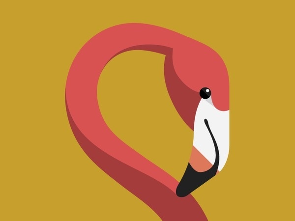 Flamingo #illustration