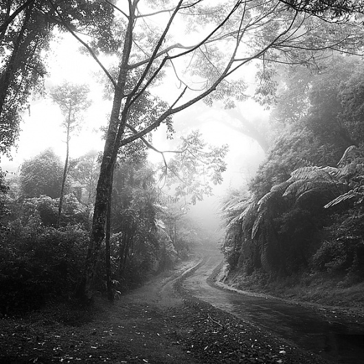 Play Misty for Me on Photography Served #fotografia