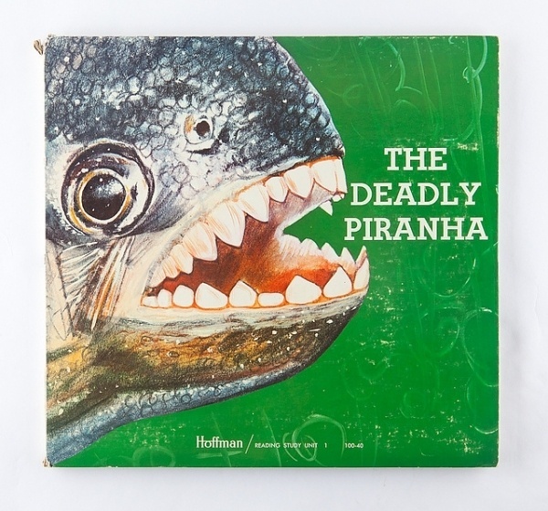 Vintage Album Cover-39.jpg | Flickr - Photo Sharing! #cover #album