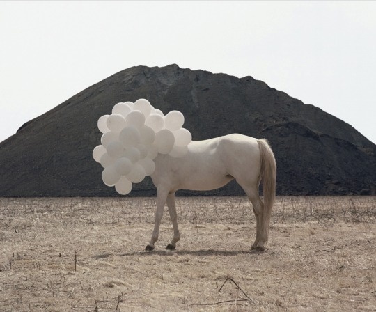 Death of an Image – Andrea Galvani | The Design Ark #andrea #galvani #installation