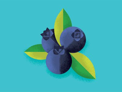 Blueberries