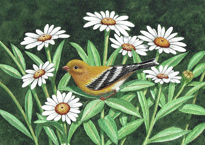 daisy painting & daisy paint by number #painting