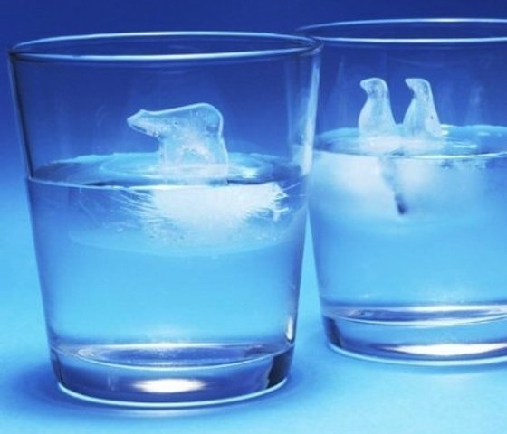 Polar Bear And Penguin Ice Cube Molds #gadget