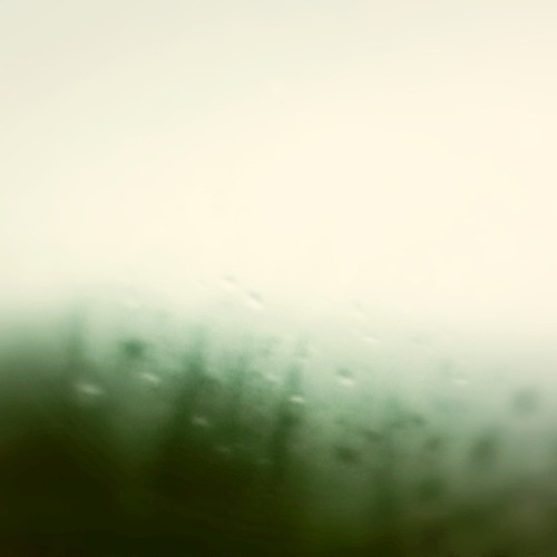 Uriá Fassina #traveling #water #movement #window #green