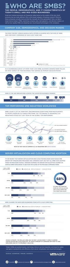 SMBInfographic #who #mall #business