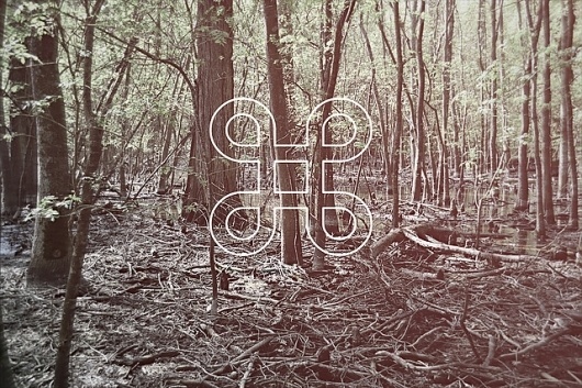 B.D.S. | Flickr – Condivisione di foto! #wild #design #graphic #retro #landscape #christianconlh #photography #nature
