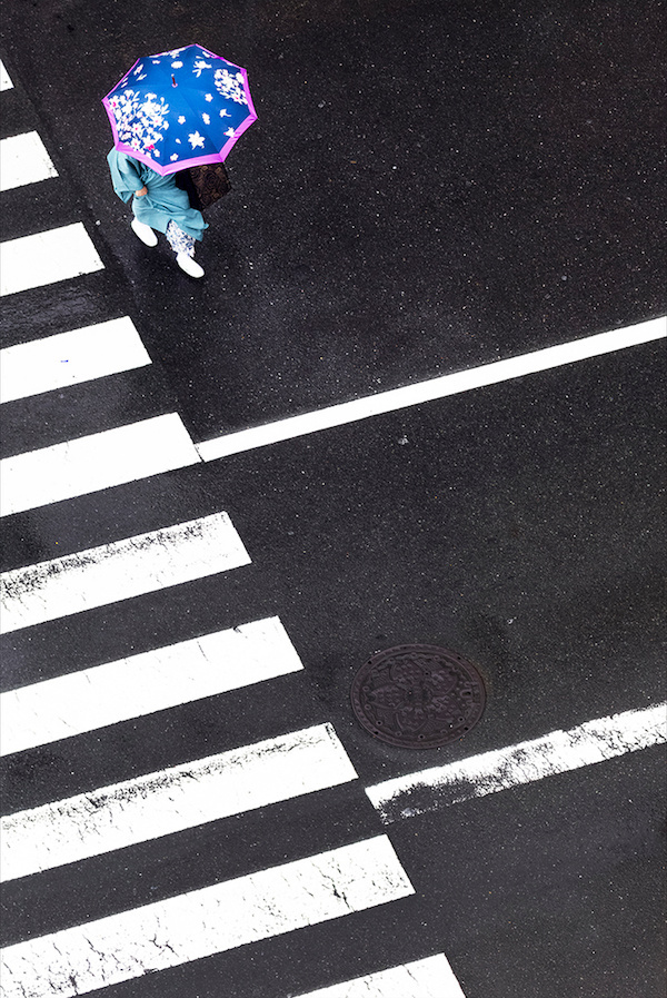Yoshinori Mizutani | PICDIT