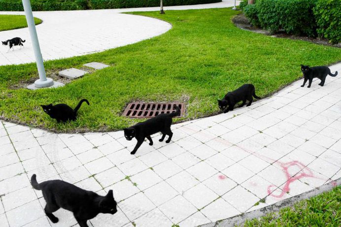 #OurStreets: Brilliant Street Photography by Cedric Roux