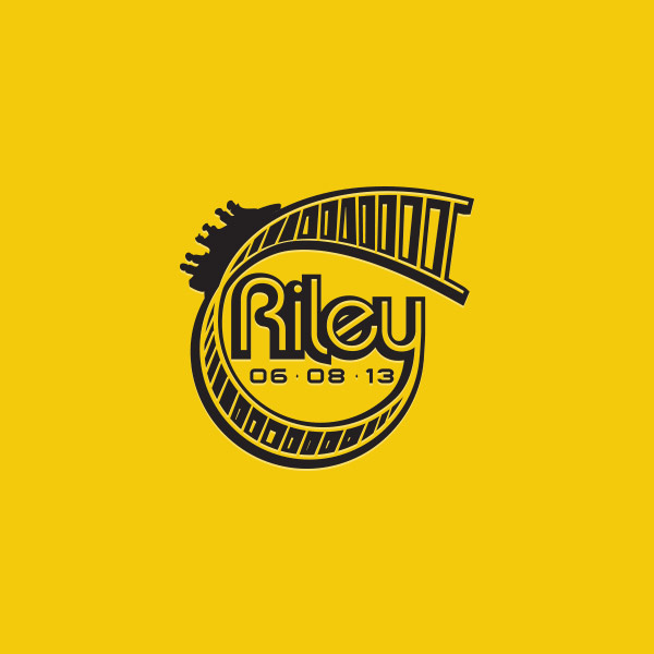 Professional Logo Designer
