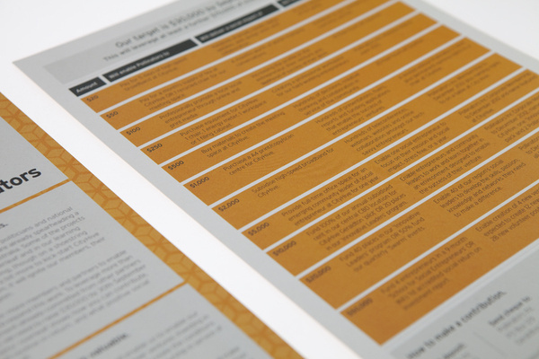 IMG_6141 #information #flyer #design #table #brochure
