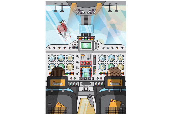 #illustrator #illustration #illustrated #vector #art #vectorart #design #draw #street #block #cat #glass #urban #street #streetart #plane #b