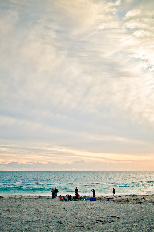 Afternoon Fish by Shell of Light #photography #fishing #beach