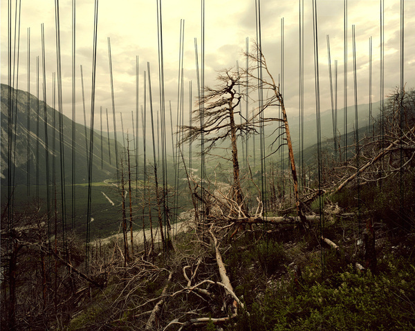 Mirrors and Windows: Photo #photo #nature #wires #landscape