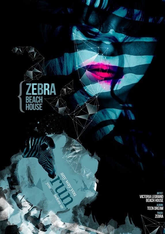 Black and White Horse #abstract #design #victorialegrand #zebra #beachhouse #art #music #graphics
