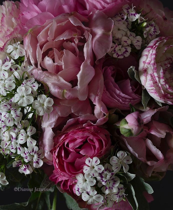 Absolutely Delightful Flowers Photography by Dianna Jazwinski