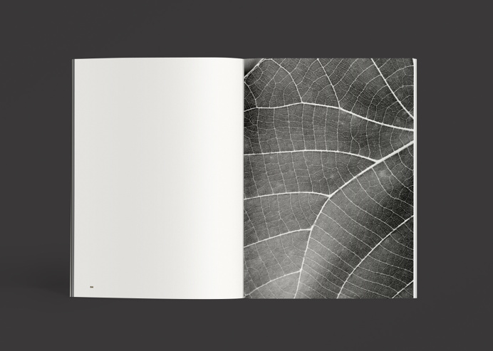 #editorial #design #layout #minimal #publication