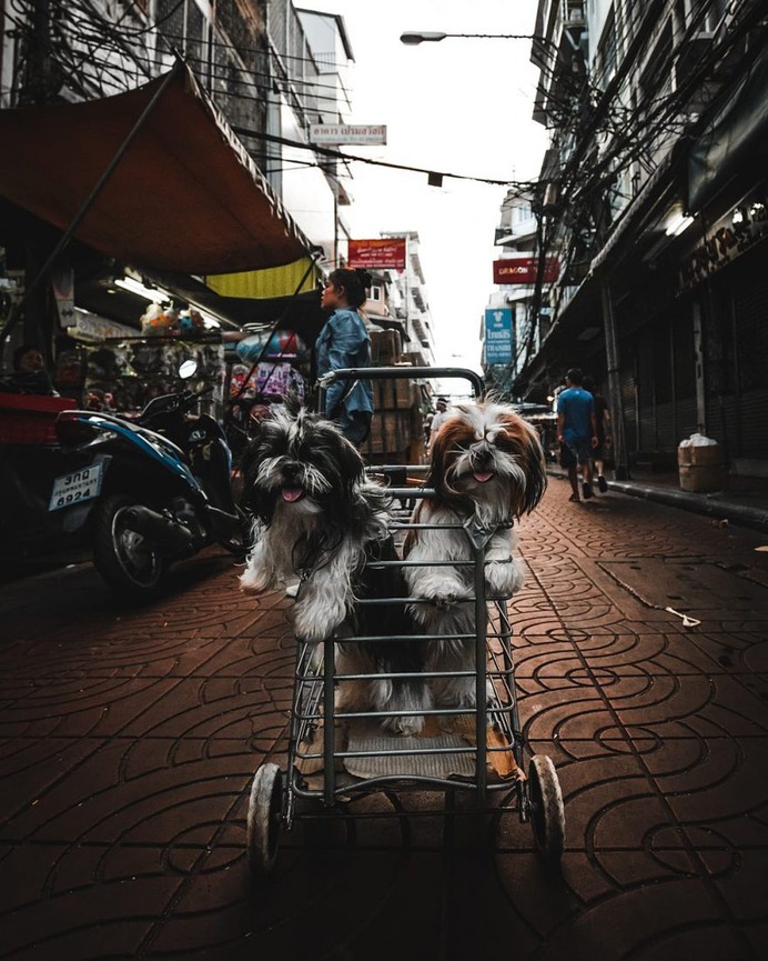 Moody and Cinematic Street Photography by Panagiotis Koutroumpis