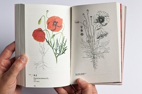 FFFFOUND! #design #graphic