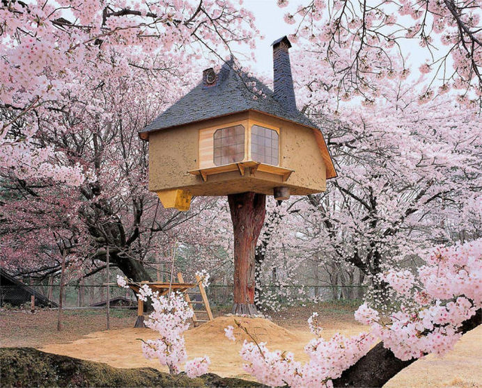 Teahouse Tetsu Treehouse In Hokuto City, Japan. #treehouse