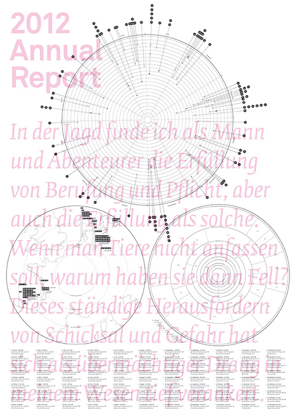 annual report 2012 #infographic #annual #data #visualization #poster #report