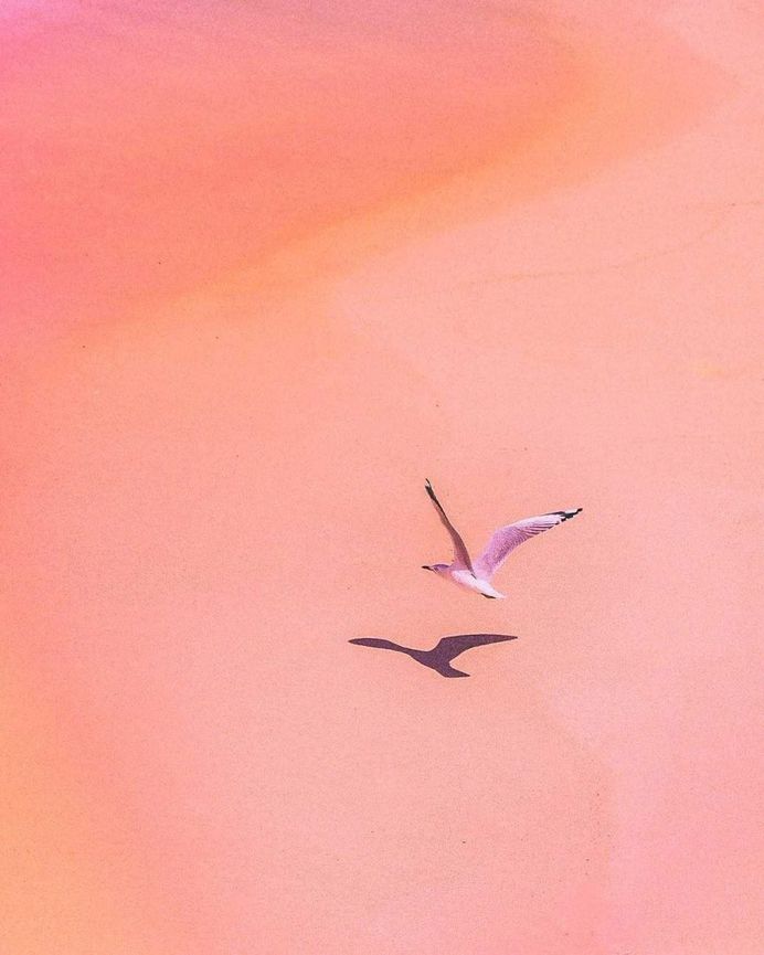 Simple and Stunning Minimalist Photography by Anton Kollo