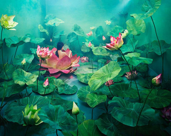 Photography by Jee Young Lee #inspration #photography #art