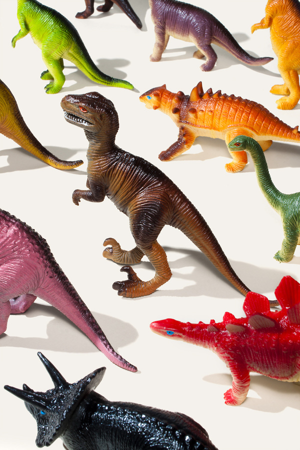 Source: bobbydoherty #photography #dinosaurs