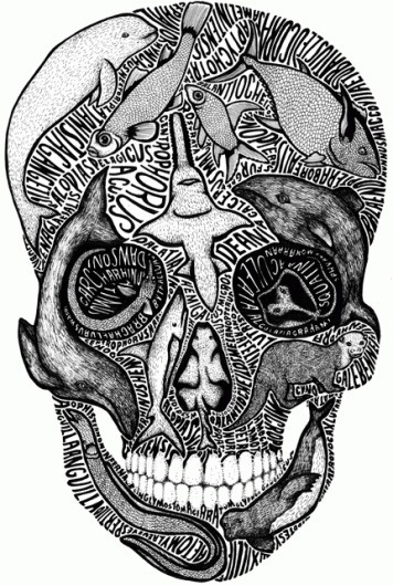 Illustrations by Sarah King I Art Sponge #phrases #fish #illustration #swords #sarah #king #skull