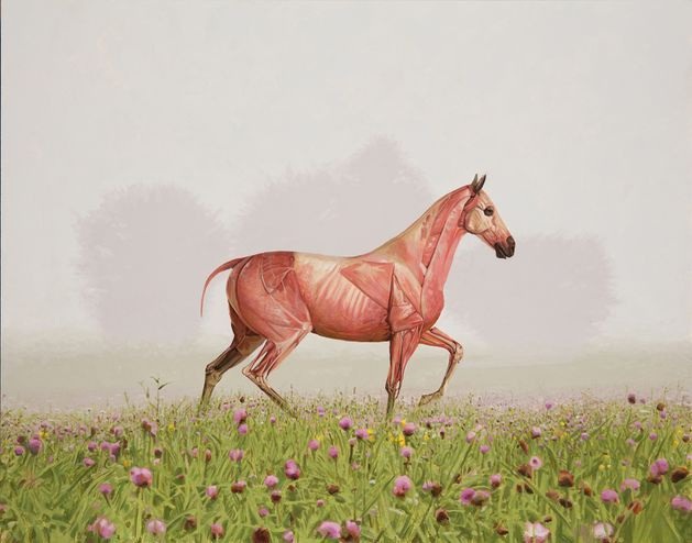 Josh Keyes