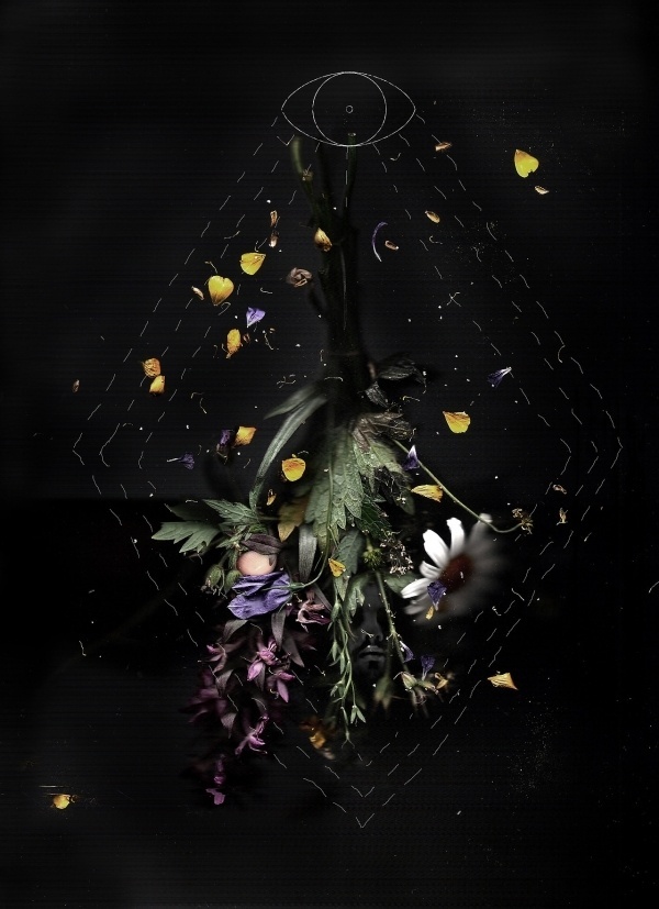 tumblr_m6ozirz82g1rvj943o1_1280.jpg (1280×1766) #buckley #alessandro #tim #bertelle #slit #photography #flower #scan