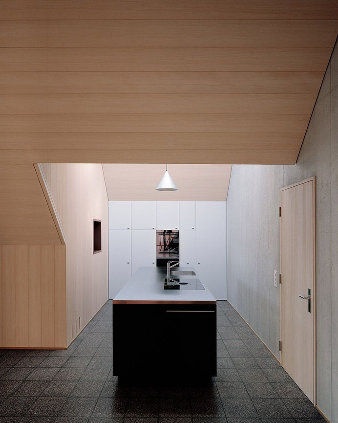 Haus Frohsinn by Lando Rossmaier Architekten