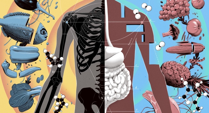 How Science and a War Gave Rise to Our Recommended Daily Nutrient Intakes - SR. Salme