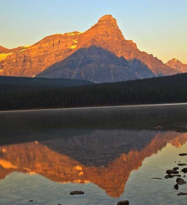 Nature Photography by Ajay Thakur #inspiration #photography #nature