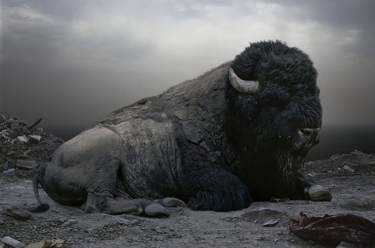 Simen Johan #simen #photography #johan #art