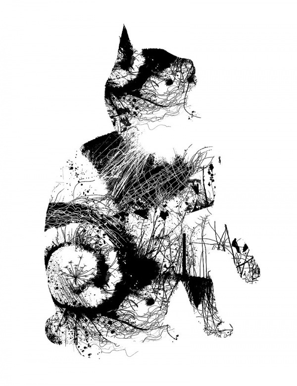 Chris Keegan Illustration and prints #chris #london #print #cat #keegan #londo #illustration #nature #art #graphics #animal #club
