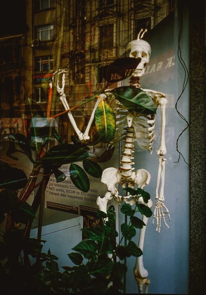 Istanbul #window #shop #street #istanbul