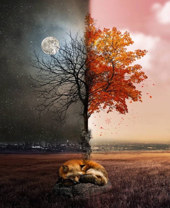 Creative and Dreamlike Photo Manipulations by Natacha Einat