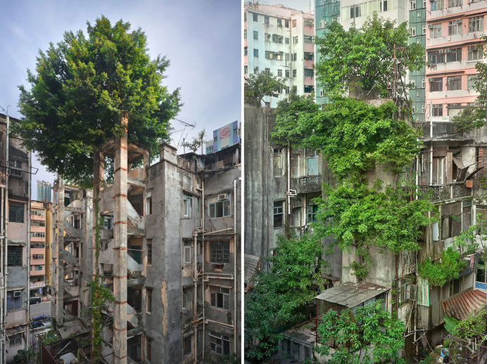 nature-reclaiming-abandoned-places-27 #abandoned #photography