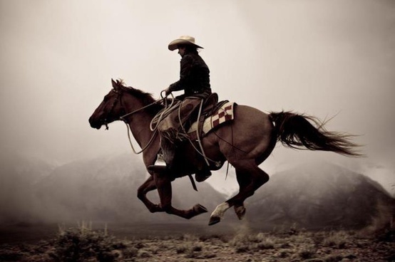 cowboy #cowboy