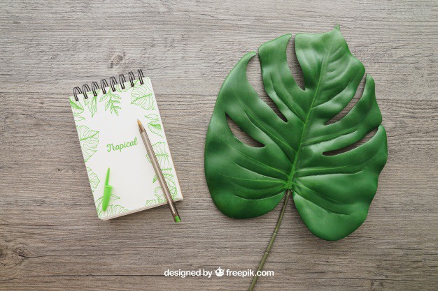 Notepad and leaf Free Psd. See more inspiration related to Mockup, Leaf, Paper, Doodle, Pencil, Pen, Mock up, Notes, Notepad, Up, Note paper, Objects, Things, Composition and Mock on Freepik.