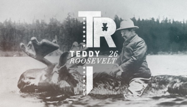 Branding the Presidents of the United States #branding #american #roosevelt #president #logo #moose #usa #typography