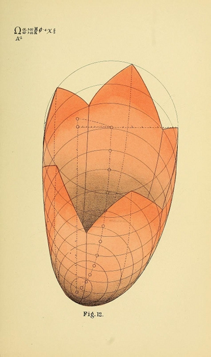 B. W. Betts' Geometrical Psychology | The Public Domain Review #forms