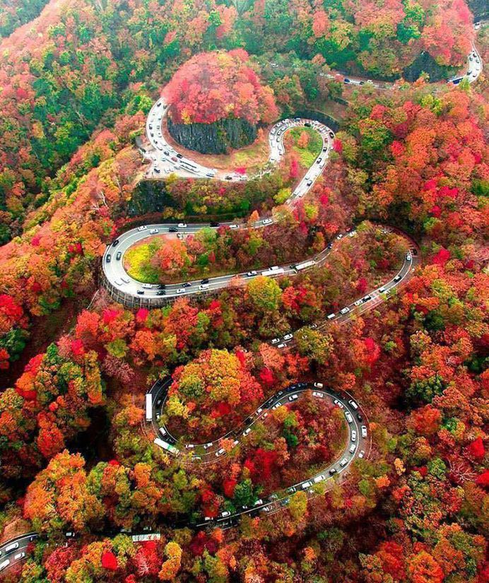 Beauty of Nature