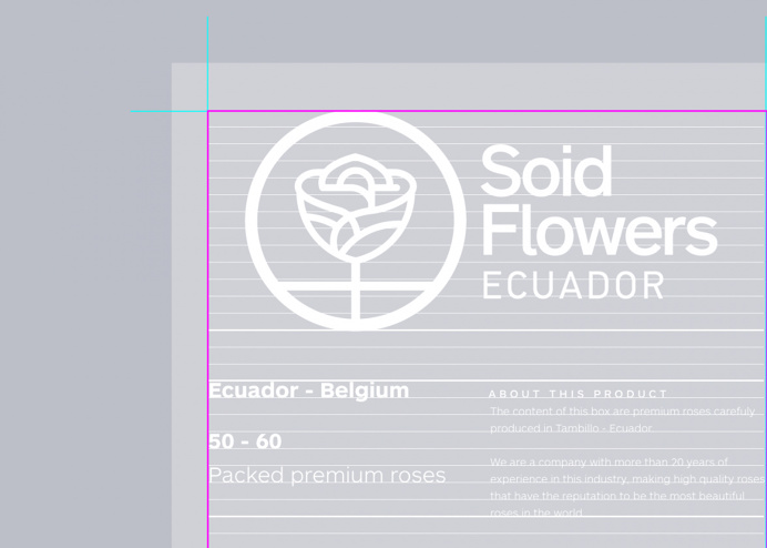 packaging, roses, flowers, box, identity, branding