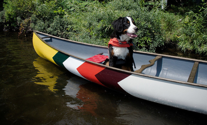 Canoes