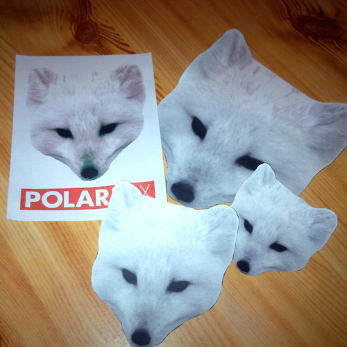 I made some Polarfox stickers! http://www.polarfox.com #creative #fox #streetart #design #head #art #polarfox #futura #diy #sticker