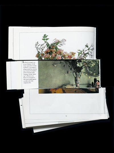 Arrangement by James Henkel #juxtaposition #arrangement #photography #collage #flowers