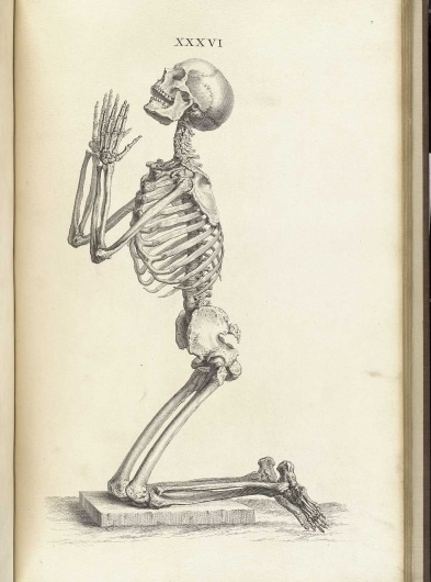 cheselden_t36.jpg 1200×1615 pixels #prayer #skeleton #anatomy