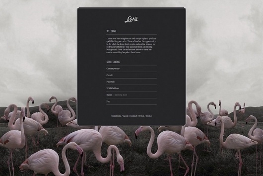3.jpg (JPEG Image, 920x615 pixels) #flamingo #pink #website #graphics #grey