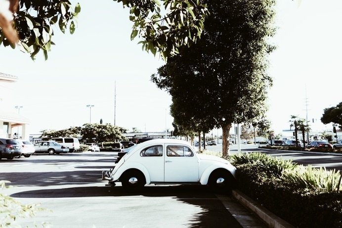 melnoelle photography #beetle #vw #vintage car #bug